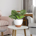 Planters for Indoor Plants, 10/9/8 Inch Self Watering Plant Pots - Image 7