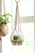 Dahey Macrame Plant Hanger Set of 3 - Image 5