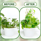 AUGSUN 2 Pcs Gold Trellis Leaf Shape 12 Inch Metal Plant Support - Image 5