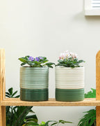 Self Watering Pots for Indoor Plants, 6 Inch Ceramic Self Watering Plant Pot - Image 8