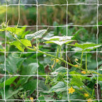 Tcamp Trellis Netting for Climbing Plants Outdoor Indoor - Image 7