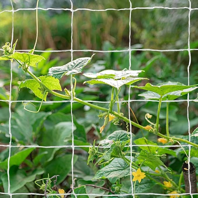 Tcamp Trellis Netting for Climbing Plants Outdoor Indoor - Image 7