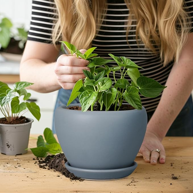 Ceramic Pot for Plants - Image 5