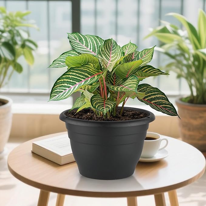 3 Pack 11 Inch Plant Pots, Plastic Flower Pots - Image 8