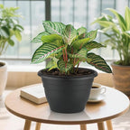 3 Pack 11 Inch Plant Pots, Plastic Flower Pots - Image 8