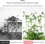 60 Pcs Plant Climbing Wall Fixture Clips Self-Adhesive Hook Vines Traction - Image 3