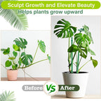 Extendable Plant Stakes, Adjustable Length from 17.9IN to 42.3IN Monstera - Image 3