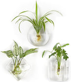 Mkono Wall Planter Propagation Stations Hanging Glass Terrariums Vase Container by Mkono