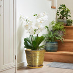 Ceramic Planter - Image 6