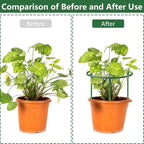 36Packs Plant Support Stake Half Round Plant Support - Image 5