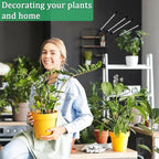 2 Pcs Indoor Plant Trellis, Mini Garden Trellis - Image 5