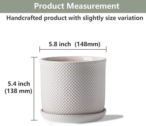 5.8 Inch Plant Pot: Ceramic Planter - Image 2