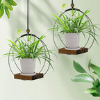 Hanging Planter for Indoor Plants, Plant Hanger - Image 4