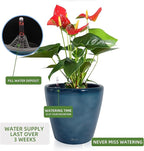 Dexceder 15x14 Self Watering Planter - Image 5