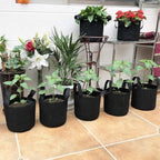 JERIA 12-Pack 2 Gallon Grow Bags, 300G Thickened Nonwoven Garden Pots, Heavy - Image 7