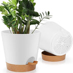 8-Inch Plant Pots, Self-Watering Planters by AFamilyofGardenLovers