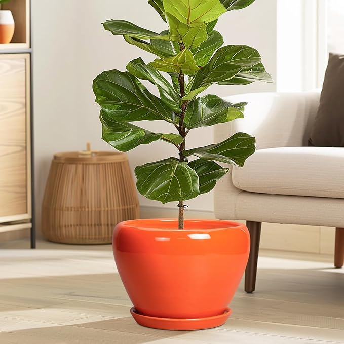 Ceramic Pot for Plants - Image 2