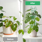 Plant Trellis for Potted Plants 4 Pack Stackable Indoor Outdoor Climbing - Image 3