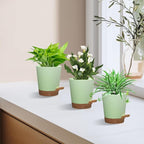 Self Watering Pots, 4 inch Flower Pots - Image 5