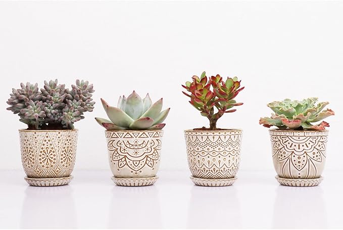 Gepege Succulent Pots, 4 Inch Small Indoor Ceramic Planter Pot - Image 4