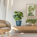 8 Inch Plant Pot - Image 7