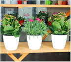 5.2“ Self Watering Planter White Flower Pot, Mini Plant Pot, African Violets - Image 3