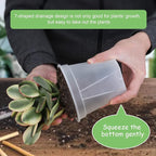 GREENPARA Transparent Plastic Planter 4/5 /6 inch Plant Nursery Pots - Image 5