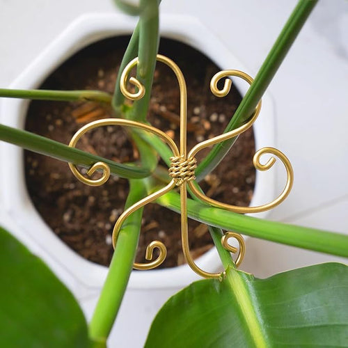 5PCS Monstera Plant Support System 4.1IN by Yohsnor