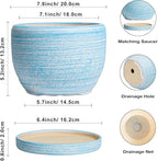 SQOWL Ceramic Planter - Image 3