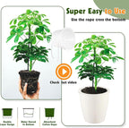 Self Watering Pots for Indoor Plants, Small African Violet Pots - Image 7