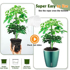Self-Watering Pots for Indoor Plants, Small African Violet Pots - Image 7