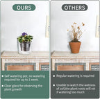 4 Inch Self Watering Pot, African Violet Pot, Bottom Watering Glass Planter - Image 6