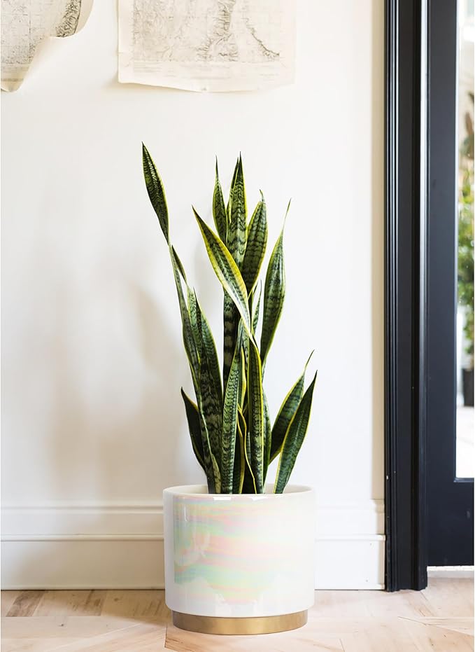 Gepege White Indoor Pots for Plants, Ceramic Planter - Image 5