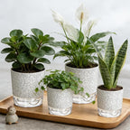 Self Watering Pots for Indoor Plants, 4/5.5 Inch Crackle Pattern Planters - Image 5