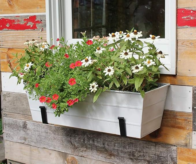 Achla Designs C-20W Window Box - Image 6
