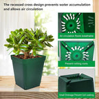 Square Seedling Nursery Pots 3.15 Inches 100 Pcs - Image 4