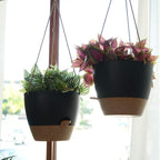 10 Inch Self Watering Hanging Pots, 2 Pack Hanging Planters - Image 6
