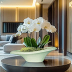 Ceramic Bonsai Pots - Image 5