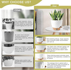 Plant Pots, 12/10/9/8/ Inch Large Plastic Self Watering Flower Pots Indoor - Image 6