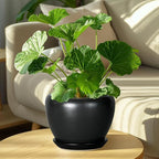 Ceramic Planter Pot - Image 7
