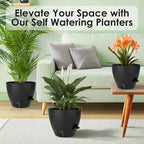 Self-Watering Plant Pots with Water Level Indicator, Drainage Holes & Saucers – - Image 5