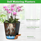 Orchid Pots with Holes, 6 Inch Self Watering Orchid Pot 2 Pack Plastic Plant - Image 3