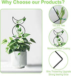4 Packs Trellis for Climbing Plants Indoor, HENABLE Small Garden Metal Trellis - Image 6