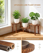 Concave Plant Shelf Indoor, 3 Tiers Deformable Oval Plant Stand, Heavy Duty - Image 4