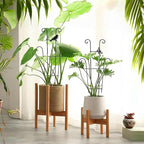 23in Plant Trellis Indoor, Trellis - Image 7