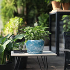 SQOWL Ceramic Pots for Plants - Image 5