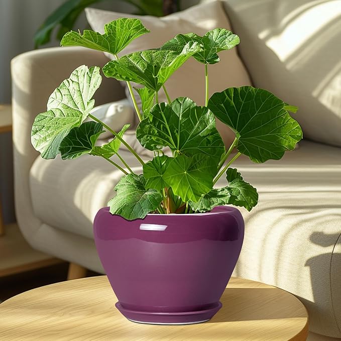 Ceramic Planter - Image 7