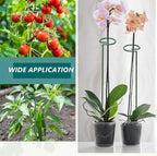 MAFONE 12 Pack 16inch Plant Support Stakes, Plant Stick Garden Single Stem - Image 4