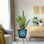 8 Inch Plant Pot - Image 5