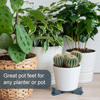 Kigeli 6 Pcs Resin Garden Pot Feet - Image 3